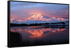 Lake with Mt McKinley, Denali National Park and Preserve, Alaska, USA-Hugh Rose-Framed Stretched Canvas