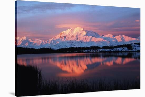 Lake with Mt McKinley, Denali National Park and Preserve, Alaska, USA-Hugh Rose-Stretched Canvas