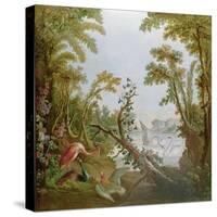 Lake with Swans, a Flamingo and Various Birds, from the Salon of Gilles Demarteau, C.1750-65-Francois Boucher-Stretched Canvas