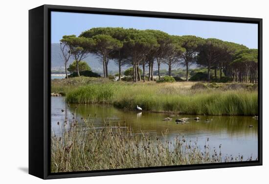 Lake with Water Plants and Bird-Guy Thouvenin-Framed Stretched Canvas