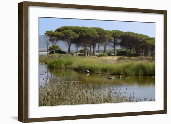 Lake with Water Plants and Bird-Guy Thouvenin-Framed Photographic Print