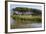 Lake with Water Plants and Bird-Guy Thouvenin-Framed Photographic Print