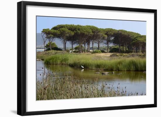 Lake with Water Plants and Bird-Guy Thouvenin-Framed Photographic Print