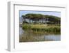 Lake with Water Plants and Bird-Guy Thouvenin-Framed Photographic Print