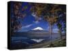 Lake Yamanaka, Mount Fuji-null-Stretched Canvas