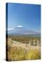 Lake Yamanaka & Mt. Fuji-Rob Tilley-Stretched Canvas