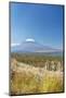 Lake Yamanaka & Mt. Fuji-Rob Tilley-Mounted Photographic Print