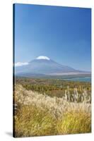 Lake Yamanaka & Mt. Fuji-Rob Tilley-Stretched Canvas