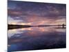 Lake Yellowstone, Yellowstone National Park, Wyoming, USA-Art Wolfe-Mounted Photographic Print