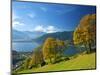 Lake Zeller See , Thumersbach, Pinzgau in Salzburger Land, Austria-Katja Kreder-Mounted Photographic Print