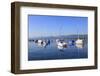 Lake Zurich-photogearch-Framed Photographic Print