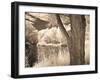 Lakefront View II-Ily Szilagyi-Framed Giclee Print