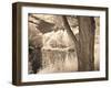 Lakefront View II-Ily Szilagyi-Framed Giclee Print