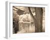 Lakefront View II-Ily Szilagyi-Framed Giclee Print