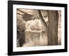 Lakefront View II-Ily Szilagyi-Framed Giclee Print