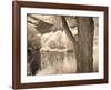 Lakefront View II-Ily Szilagyi-Framed Giclee Print