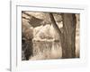 Lakefront View II-Ily Szilagyi-Framed Giclee Print