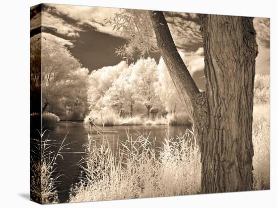 Lakefront View II-Ily Szilagyi-Stretched Canvas
