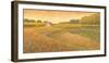 Lakeland Meadows I-Stephen Mitchell-Framed Giclee Print