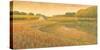 Lakeland Meadows I-Stephen Mitchell-Stretched Canvas