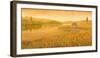 Lakeland Meadows II-Stephen Mitchell-Framed Giclee Print