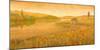 Lakeland Meadows II-Stephen Mitchell-Mounted Giclee Print