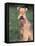 Lakeland Terrier Portrait-Adriano Bacchella-Framed Stretched Canvas