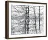 Lakelands-Andrew Geiger-Framed Giclee Print