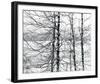 Lakelands-Andrew Geiger-Framed Giclee Print