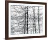 Lakelands-Andrew Geiger-Framed Giclee Print