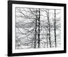 Lakelands-Andrew Geiger-Framed Giclee Print