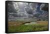 Lakenheath Fen Rspb Reserve, Suffolk, UK, May 2011-Terry Whittaker-Framed Stretched Canvas