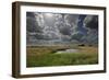 Lakenheath Fen Rspb Reserve, Suffolk, UK, May 2011-Terry Whittaker-Framed Photographic Print