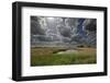 Lakenheath Fen Rspb Reserve, Suffolk, UK, May 2011-Terry Whittaker-Framed Photographic Print