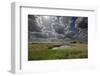 Lakenheath Fen Rspb Reserve, Suffolk, UK, May 2011-Terry Whittaker-Framed Photographic Print