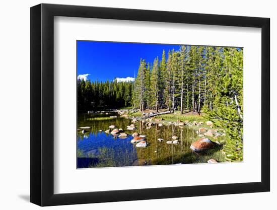 Lakes - Yosemite National Park - Californie - United States-Philippe Hugonnard-Framed Photographic Print