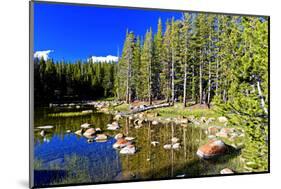 Lakes - Yosemite National Park - Californie - United States-Philippe Hugonnard-Mounted Photographic Print