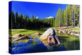 Lakes - Yosemite National Park - Californie - United States-Philippe Hugonnard-Stretched Canvas