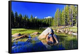 Lakes - Yosemite National Park - Californie - United States-Philippe Hugonnard-Framed Stretched Canvas