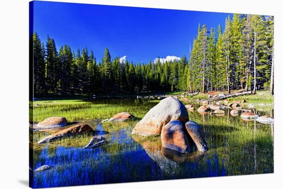 Lakes - Yosemite National Park - Californie - United States-Philippe Hugonnard-Stretched Canvas