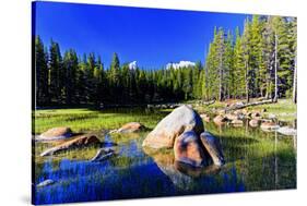 Lakes - Yosemite National Park - Californie - United States-Philippe Hugonnard-Stretched Canvas