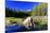 Lakes - Yosemite National Park - Californie - United States-Philippe Hugonnard-Mounted Photographic Print