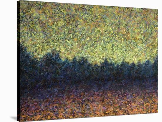 Lakeshoe Sunset-James W Johnson-Stretched Canvas