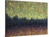 Lakeshoe Sunset-James W Johnson-Stretched Canvas