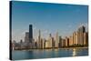 Lakeshore Chicago Skyline-Steve Gadomski-Stretched Canvas