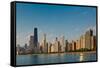 Lakeshore Chicago Skyline-Steve Gadomski-Framed Stretched Canvas