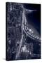 Lakeshore Drive Aloft BW Cool Toned-Steve Gadomski-Stretched Canvas