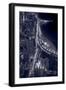 Lakeshore Drive Aloft BW Cool Toned-Steve Gadomski-Framed Photographic Print