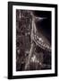 Lakeshore Drive Aloft BW Warm Toned-Steve Gadomski-Framed Photographic Print