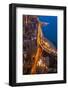 Lakeshore Drive Aloft-Steve Gadomski-Framed Photographic Print